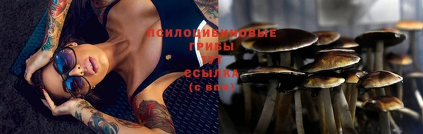 мяу мяу мука Майский