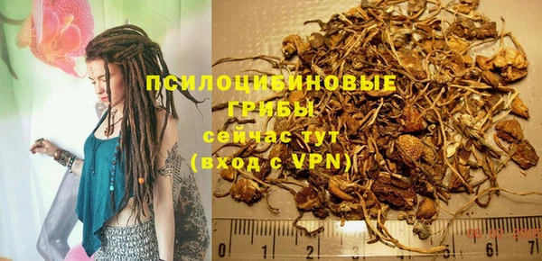 MESCALINE Магадан